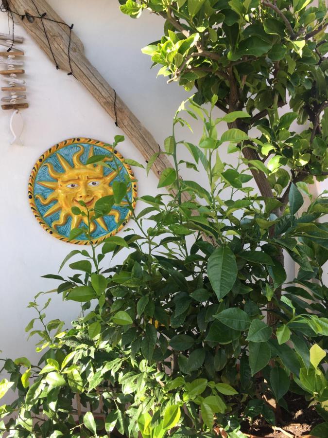 La Terrazza Sui Tetti Panzió Senigallia Kültér fotó
